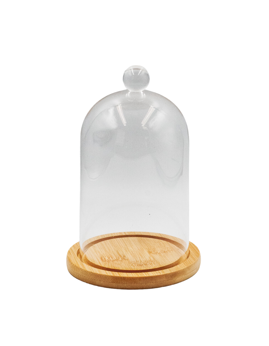Glass Candle Dome with Wooden Plate